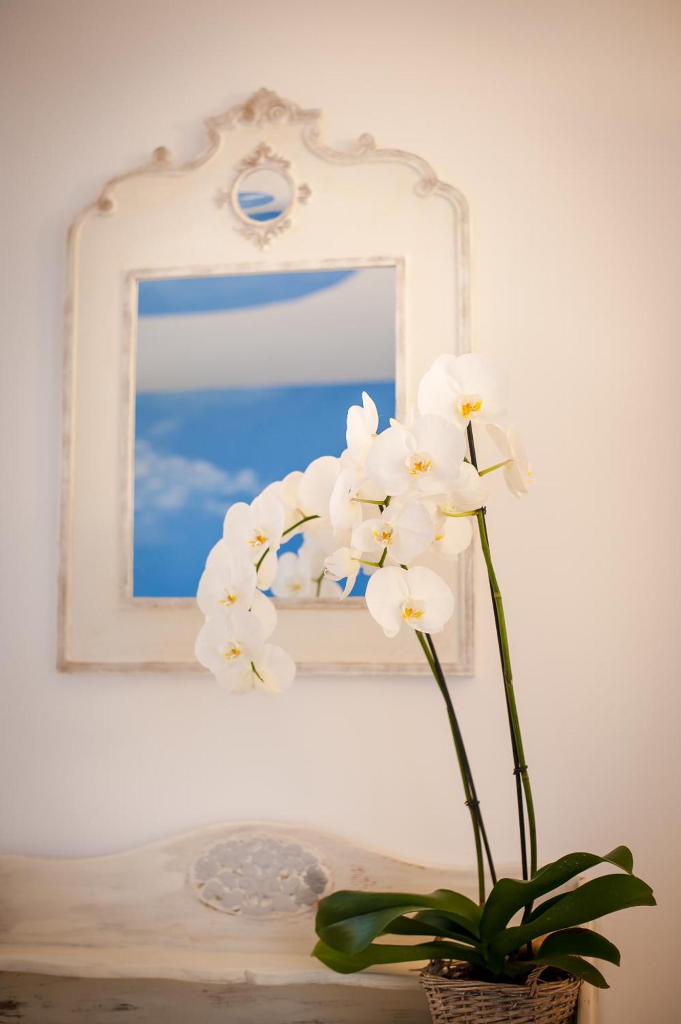 Bed and Breakfast Les 4 éléments à Tourrettes-sur-Loup Chambre photo