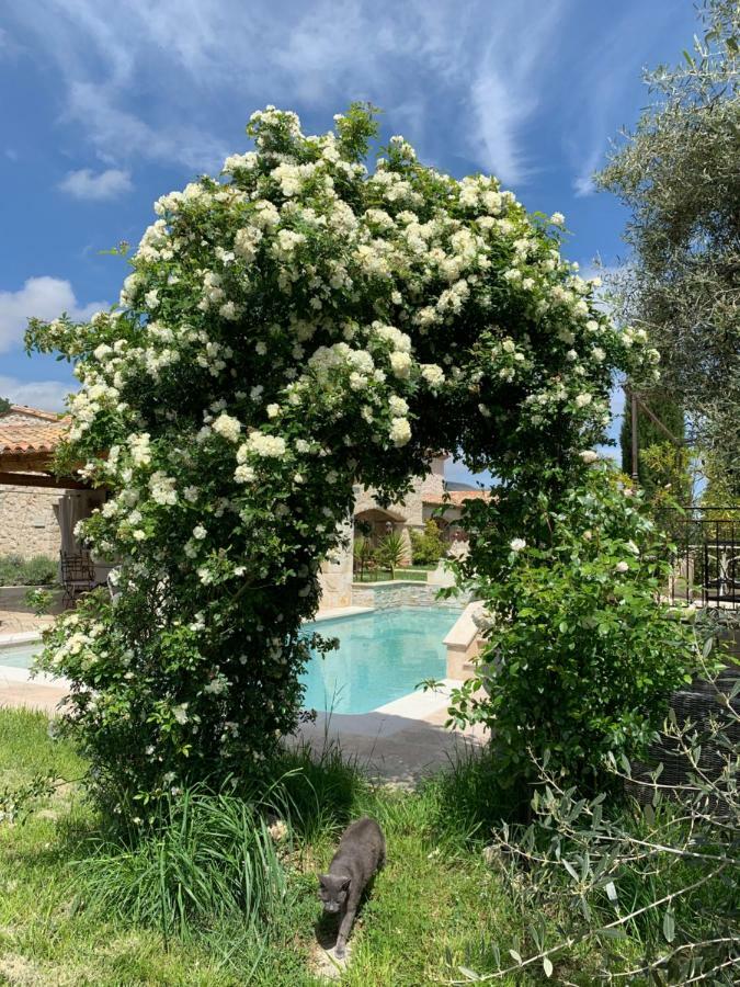 Bed and Breakfast Les 4 éléments à Tourrettes-sur-Loup Extérieur photo